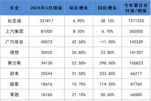 布莱顿艺术家为主帅德泽尔比画壁画：足球之神，队史最伟大教练